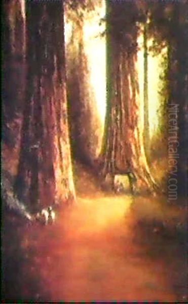 Redwoods At Yosemite - view 1