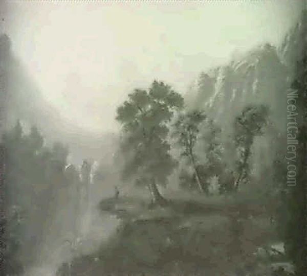 Landscape - view 1