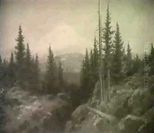 Mount Shasta - view 1