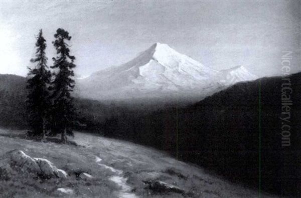 View Of Mt. Lassen - view 1