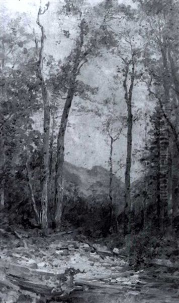 Eagle Cliff, Franconia Notch, New Hampshire - view 1