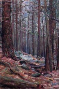 Forest Interior Forest Interior
