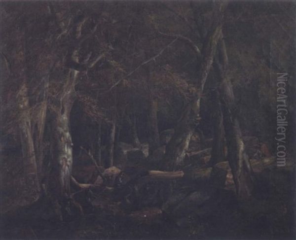 Civil War Skirmish In The Forest - view 1