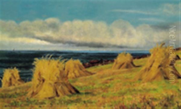 Kornfeld An Der Meereskuste - view 1