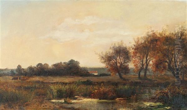 Marsh Landscape - view 1