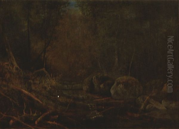 Bear Paw Creek, Andirondacks - view 1
