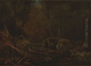 Bear Paw Creek, Andirondacks