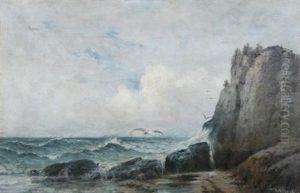 Seascape With Gulls In Flight