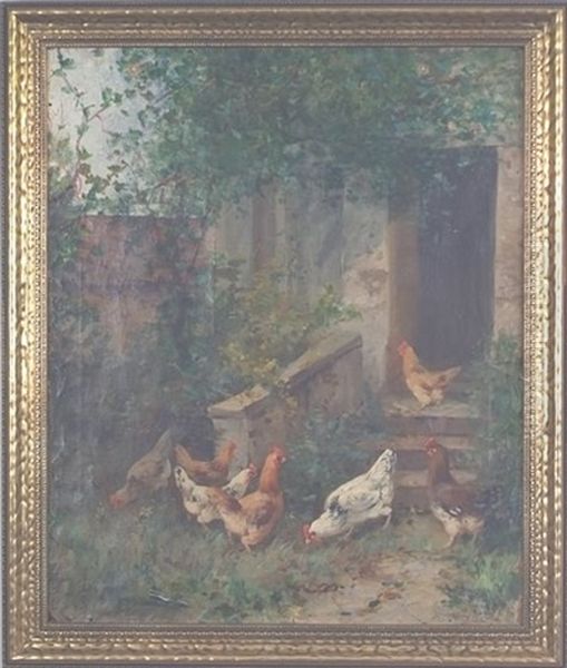 Chickens - view 1