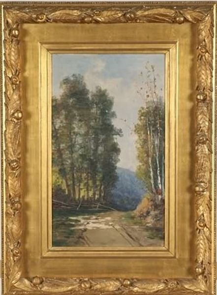 Birch Trees Along A Dirt Road - view 1