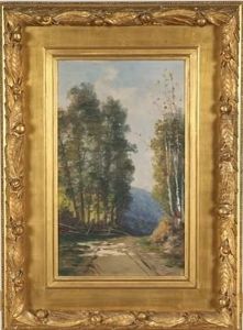 Birch Trees Along A Dirt Road
