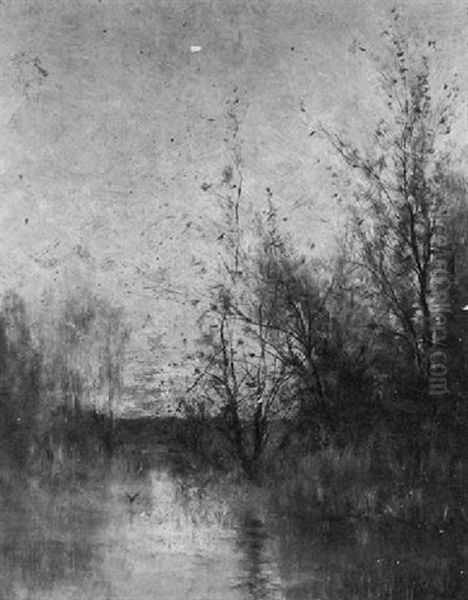 Marsh At Twilight - view 1