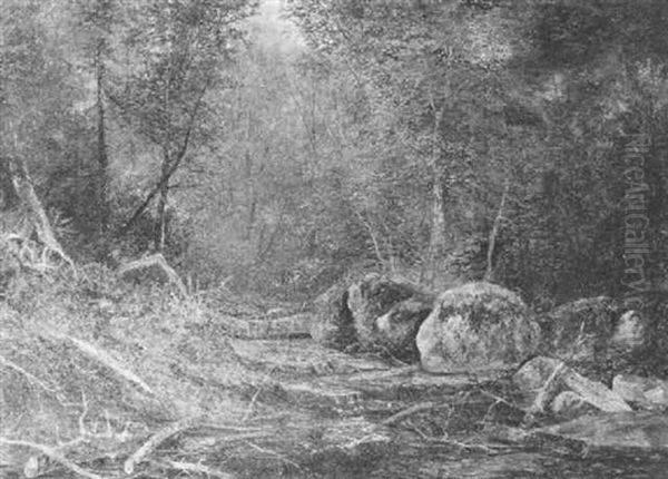 Bear Paw Creek, Adirondacks - view 1