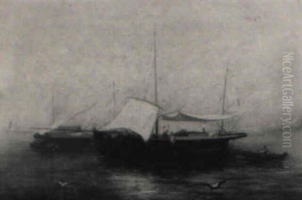 Fishing Barges At Anchor: A Mediterranean View - view 1