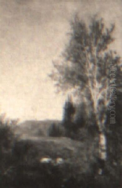 White Mt. Landscape - view 1