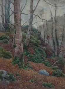 Woodland Scene by Ralph William Bardill