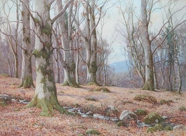 The Stately Beeches, Bettsw-y-coed - view 1