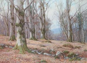 The Stately Beeches, Bettsw-y-coed by Ralph William Bardill