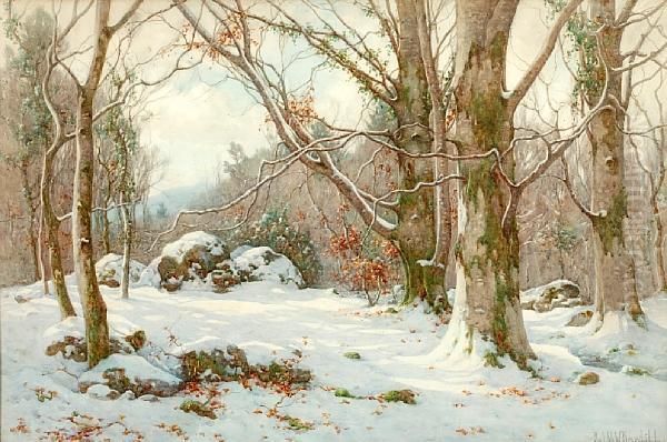 A Sunlit Snowy Woodland Glade - view 1