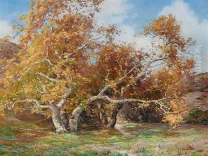 Trees In Laguna Canyon by Anna Althea Hills