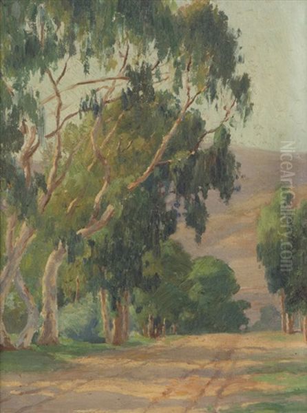 The Hillroad - view 1