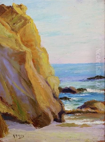 Rocky Coast Laguna - view 1