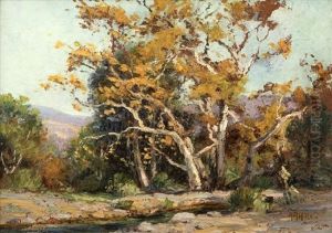 Sycamores - Irvine Park by Anna Althea Hills