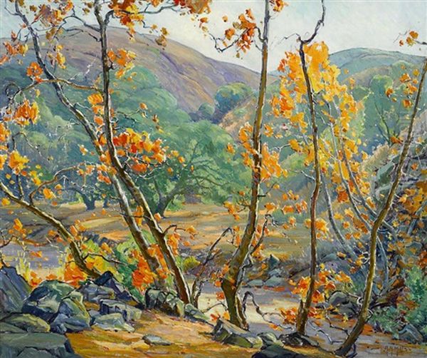 Autumn, Fallbrook - view 1