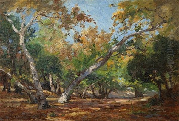 Summer In The Canyon - Laguna Beach - view 1