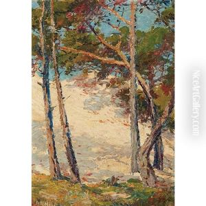 Pines Near Pacific Grove