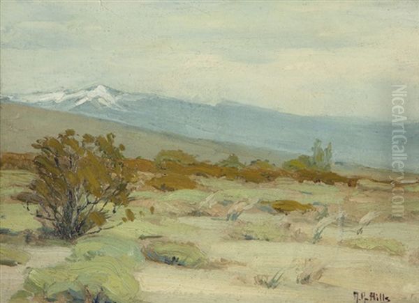 Shrubs In A Snow Capped Landscape - view 1