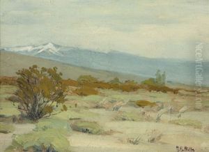Shrubs In A Snow Capped Landscape