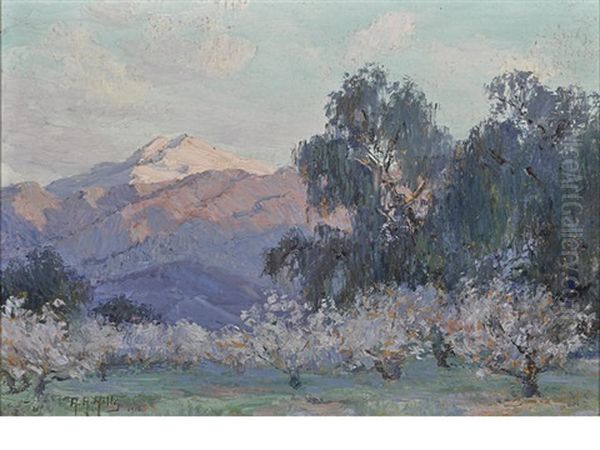 Evening Glow, Mount San Jacinto With Flowering Almond Trees - view 1