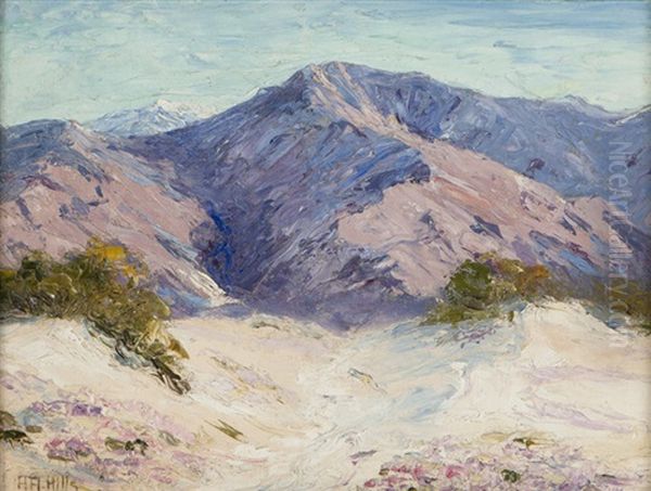 Verbena Mountains - view 1