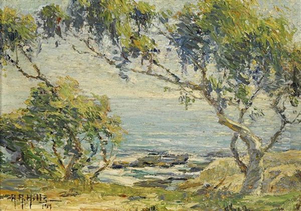Wind Blown, Laguna Beach Near Arch Beach - view 1