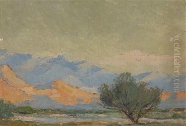The Desert Tree, Palm Springs - view 1