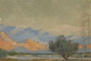 The Desert Tree, Palm Springs