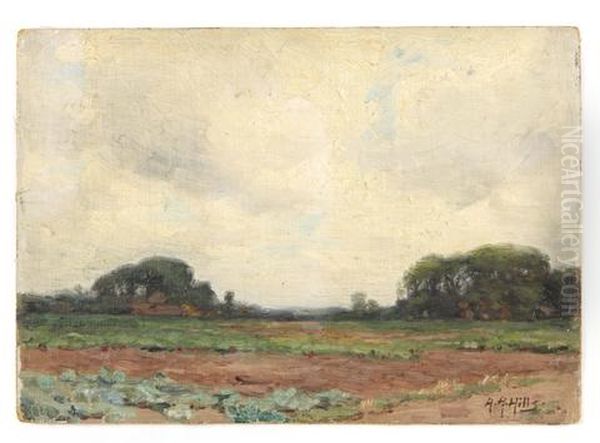 Across The Fields, Laren, Holland - view 1