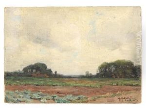 Across The Fields, Laren, Holland