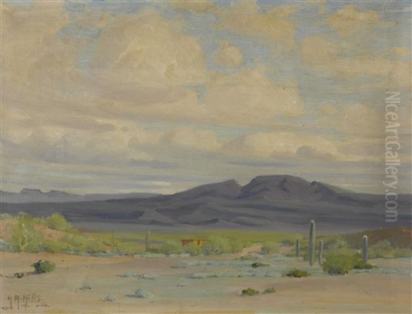 Ajo Valley, Arizona - view 1