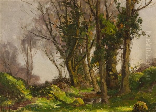 Path Through A Wooded Landscape - view 1