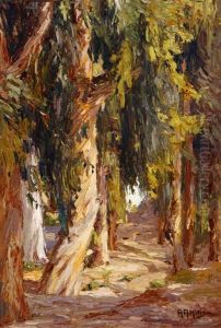 Eucalyptus In Fairy Wood - Laguna Beach, Calif by Anna Althea Hills