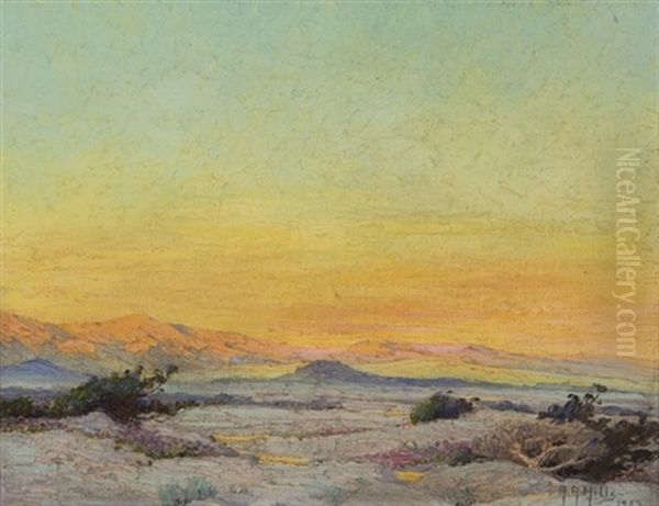 Evening Glow, Palm Springs - view 1