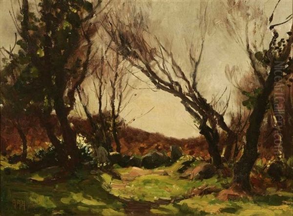 English Countryside Landscape - view 1