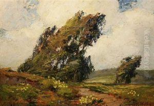 Wind In The Trees