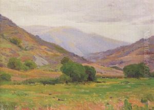 High Fog In The Canyon by Anna Althea Hills