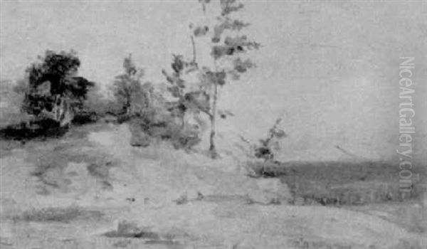Coastal Scene - view 1