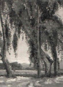 Spanish Moss by Anna Althea Hills