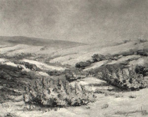 Lupine In The Dunes, Hermosa Beach 1913 - view 1