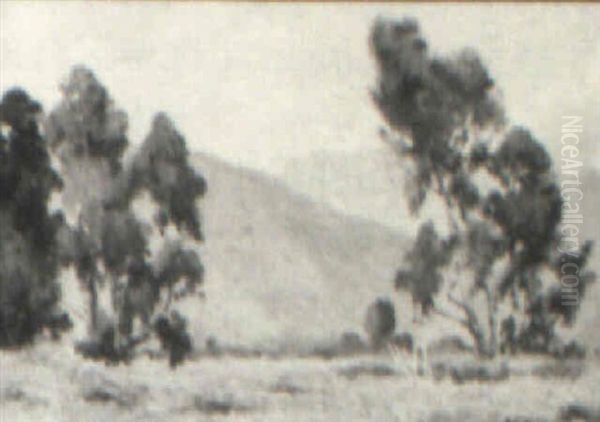 Landscape - view 1